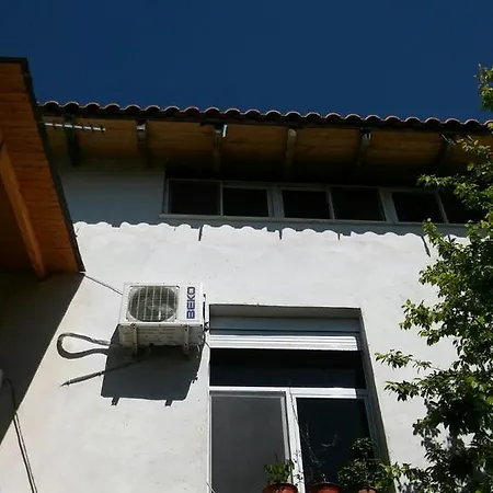 Nr.8 *