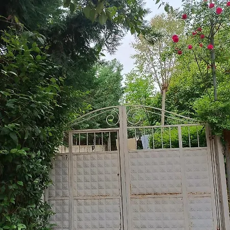 Nr.8 Tirana